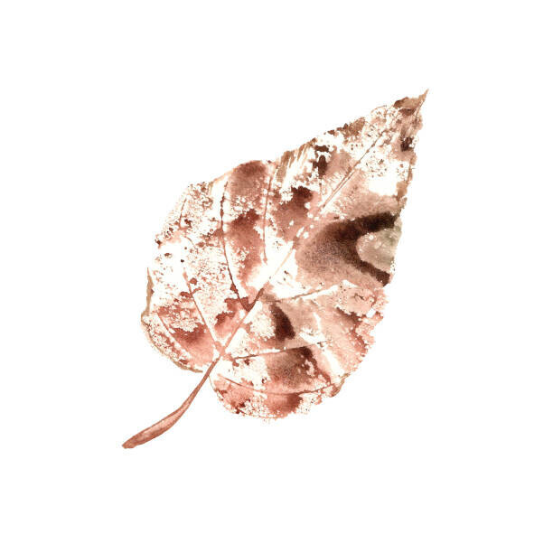 Maria Tolkacheva Plakát, Obraz - Brown Poplar Leaf, Maria Tolkacheva, 40 × 40 cm