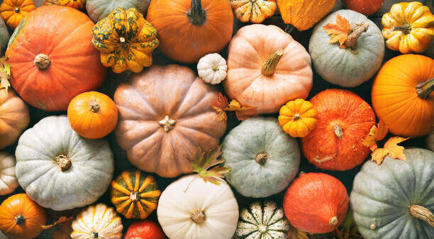 AlexRaths Plakát, Obraz - Various fresh ripe pumpkins as background, AlexRaths, 40 × 22.2 cm