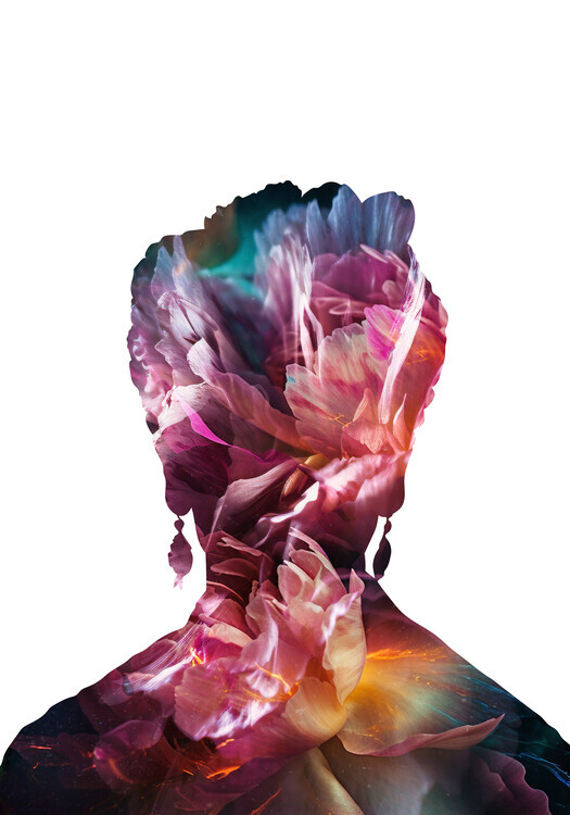 Sarah Manovski Plakát, Obraz - Frida Khalo Silhouette, Sarah Manovski, 26.7 × 40 cm