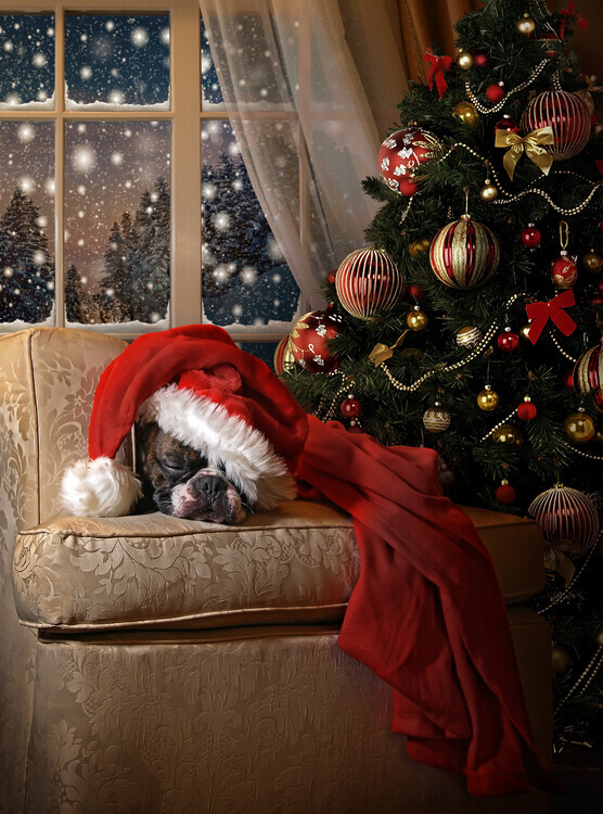 DDiArte Plakát, Obraz - Waiting for Santa, DDiArte, 30 × 40 cm