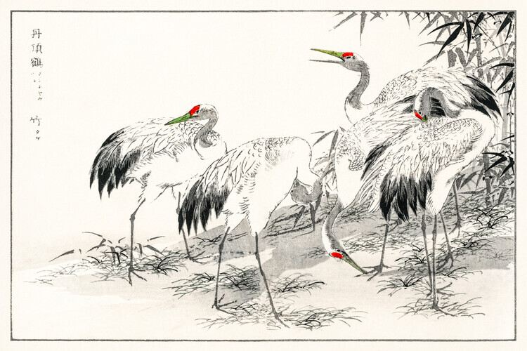 Numata Kashu Plakát, Obraz - The Japanese Crane, Numata Kashu, 40 × 26.7 cm
