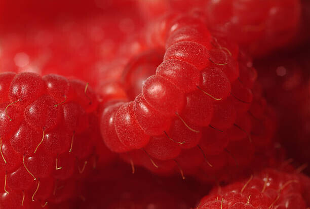 David Burton Plakát, Obraz - Close up of red raspberries (Rubus idaeus), David Burton, 40 × 26.7 cm