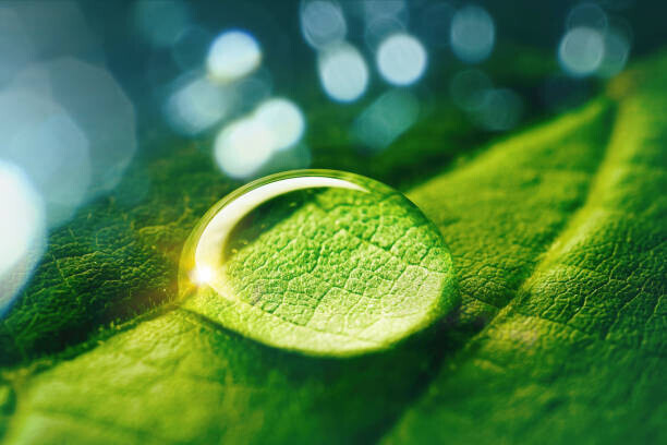 Larysa Pashkevich Plakát, Obraz - Beautiful artistic image of environment nature, Larysa Pashkevich, 40 × 26.7 cm