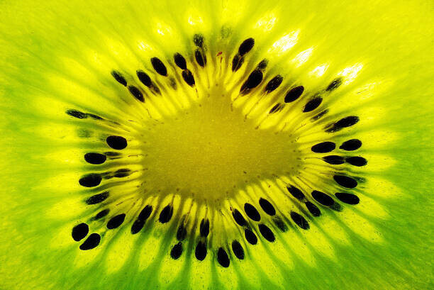Stefan Cristian Cioata Plakát, Obraz - Fresh kiwi fruit slice, Stefan Cristian Cioata, 40 × 26.7 cm