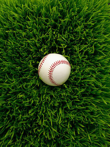 Chris Stein Plakát, Obraz - Baseball in grass, Chris Stein, 30 × 40 cm