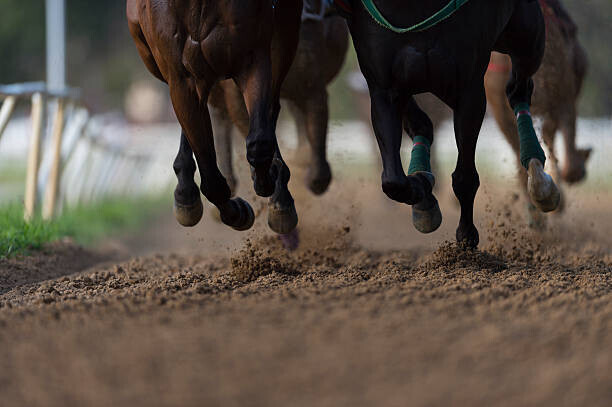 Bob Thomas Plakát, Obraz - Horse Racing detail, hooves on all weather track, Bob Thomas, 40 × 26.7 cm