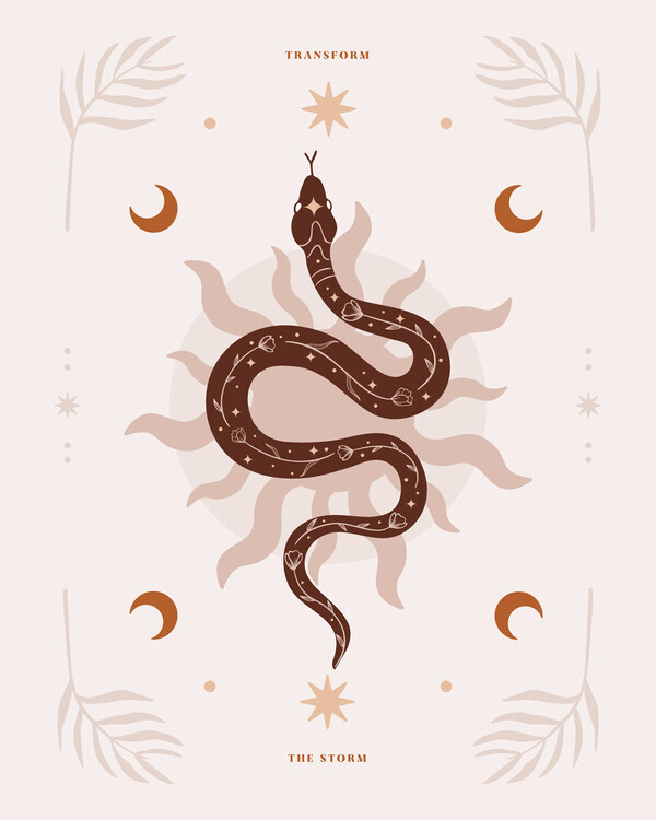 Beth Cai Plakát, Obraz - Snake Transform, Beth Cai, 30 × 40 cm