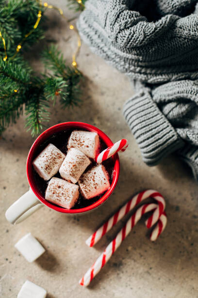 Alexandr Kolesnikov Plakát, Obraz - Hot chocolate with marshmallows and candy, Alexandr Kolesnikov, 26.7 × 40 cm