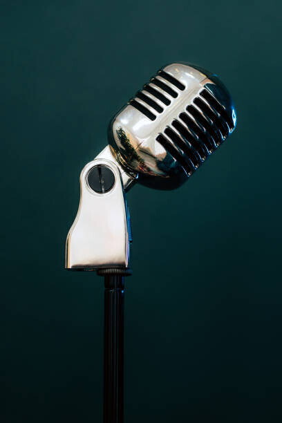 Maryna Terletska Plakát, Obraz - Professional microphone on a black background., Maryna Terletska, 26.7 × 40 cm