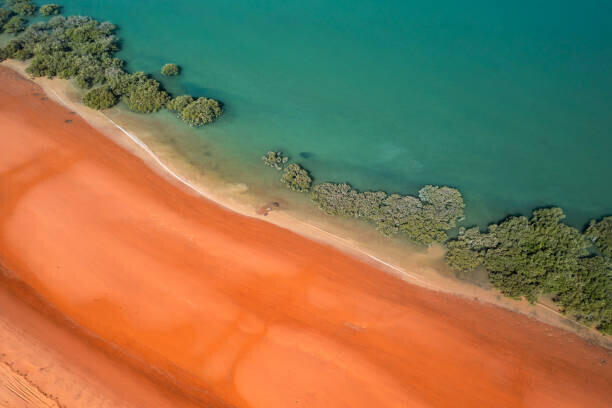 Abstract Aerial Art Plakát, Obraz - Mangrove trees running alongside Simpson Beach, Abstract Aerial Art, 40 × 26.7 cm