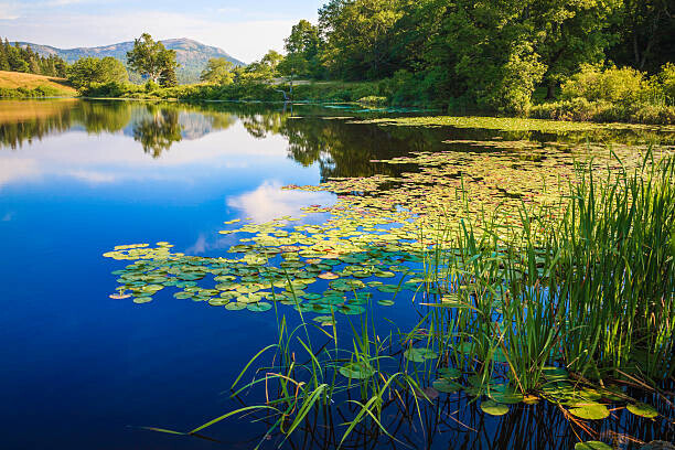 dszc Plakát, Obraz - Long Pond, Maine, deep blue water, dszc, 40 × 26.7 cm