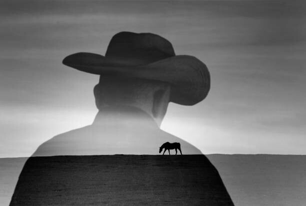 Grant Faint Plakát, Obraz - Silhouette of cowboy and scenic view, Grant Faint, 40 × 26.7 cm