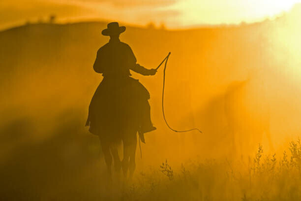 Darrell Gulin Plakát, Obraz - Silhouette of Cowboy at Sunset, Darrell Gulin, 40 × 26.7 cm