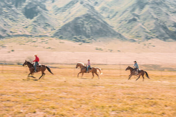 AzmanL Plakát, Obraz - Cowboys And Cowgirls Riding A Horse In Nature, AzmanL, 40 × 26.7 cm