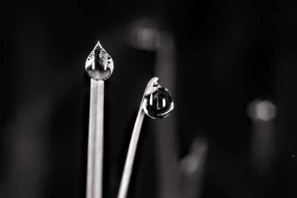 Ali Majdfar Plakát, Obraz - Shiny Water Drops in Monochrome, Ali Majdfar, 40 × 26.7 cm