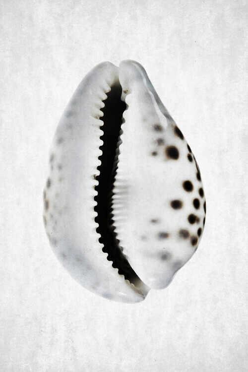 Shot by Clint Plakát, Obraz - Spring Tide 01, Shot by Clint, 26.7 × 40 cm