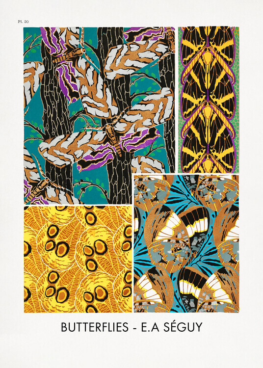 Studio Collection Plakát, Obraz - Butterflies 20, Studio Collection, 30 × 40 cm