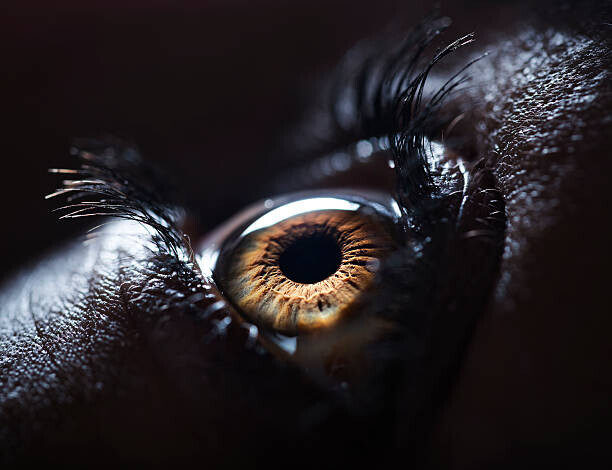 Ben Welsh Plakát, Obraz - The Human Eye., Ben Welsh, 40 × 30 cm
