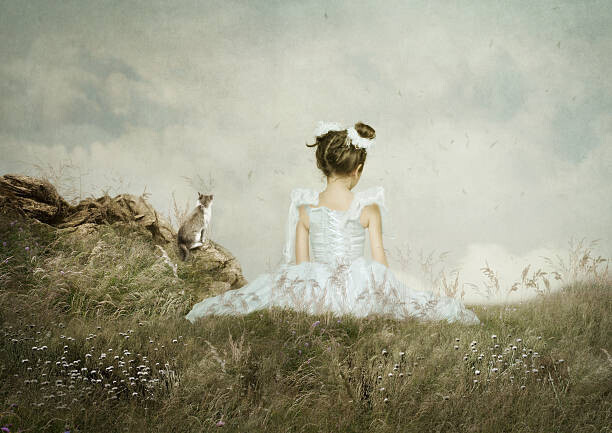 nizha2 Plakát, Obraz - Girl and cat sitting in the field, nizha2, 40 × 30 cm