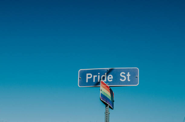 Catherine Falls Commercial Plakát, Obraz - American road sign displaying 'Pride Street', Catherine Falls Commercial, 40 × 26.7 cm
