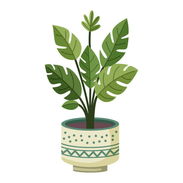 Yuliia Sydorova Plakát, Obraz - Monstera plant in a pot, Yuliia Sydorova, 40 × 40 cm