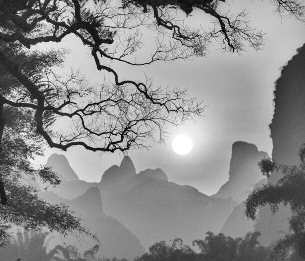 c1a1p1c1o1m1 Plakát, Obraz - withered tree and mountain, c1a1p1c1o1m1, 40 × 34.3 cm