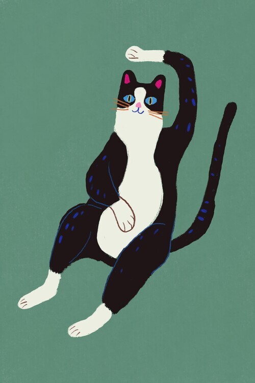 Little Dean Plakát, Obraz - Black and white cat, Little Dean, 26.7 × 40 cm