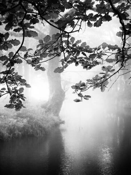Rudolf Vlcek Plakát, Obraz - Misty river, Rudolf Vlcek, 30 × 40 cm
