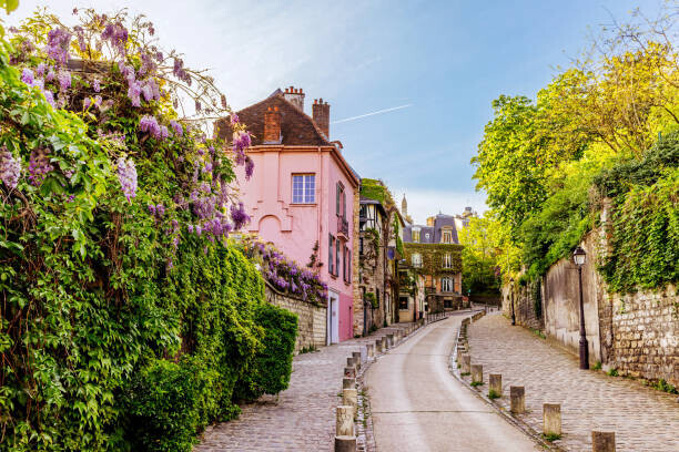 Alexander Spatari Plakát, Obraz - Street in Montmartre with blooming wisteria, Alexander Spatari, 40 × 26.7 cm