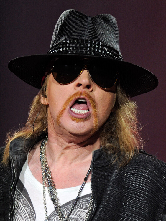 Ethan Miller Plakát, Obraz - Guns N' Roses And Sebastian Bach, 30 × 40 cm