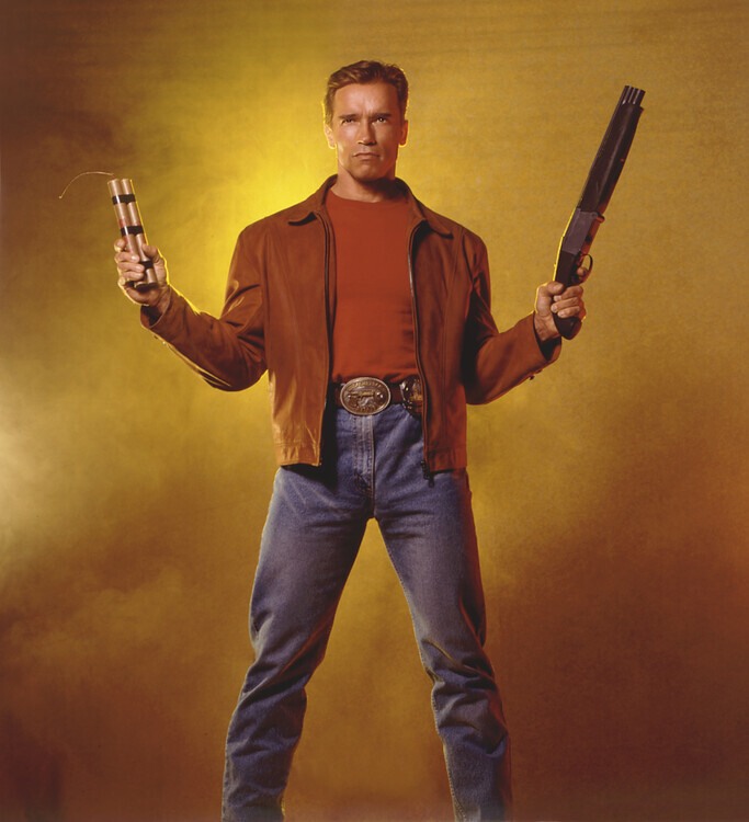 Aaron Rapoport Plakát, Obraz - Arnold Schwarzenegger, 40 × 40 cm