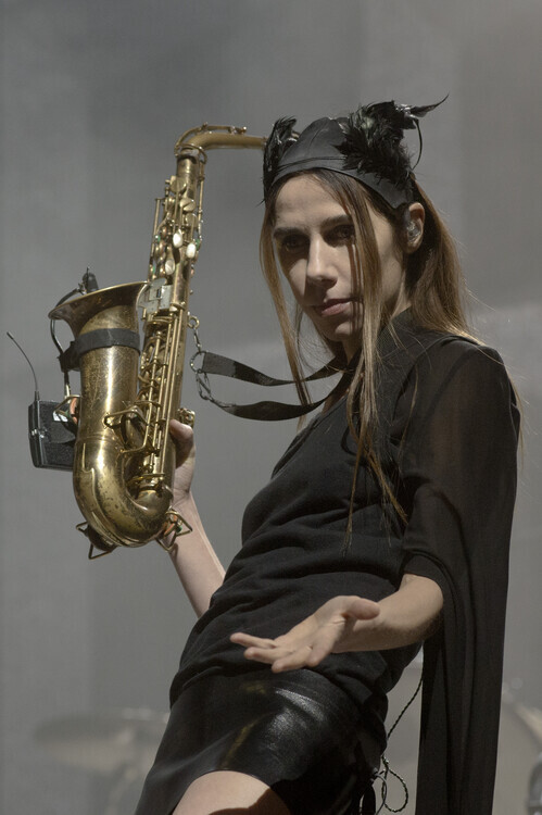 Jordi Vidal Plakát, Obraz - PJ Harvey, 26.7 × 40 cm