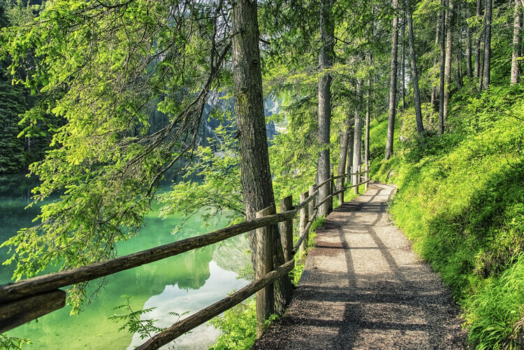 autor Plakát, Obraz - Path By The Lake, 40 × 26.7 cm