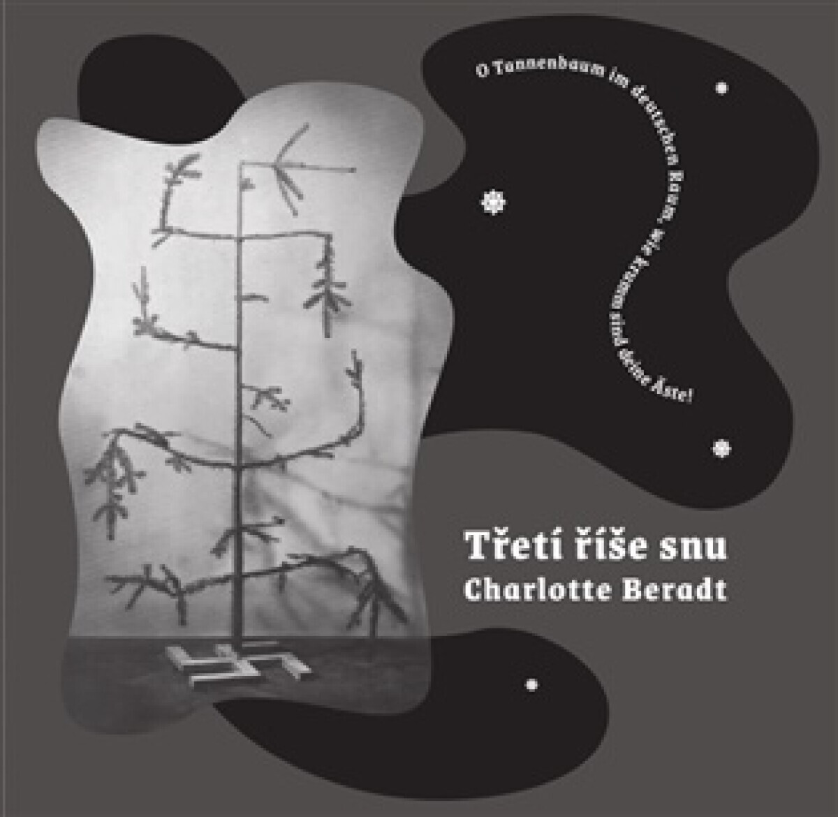 Třetí říše snu - Charlotte Beradt