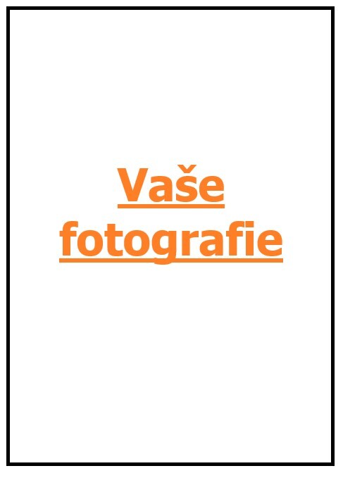 Tisk na fondánový list Varianta: Bez grafické úpravy (pošlu jeden obrázek)