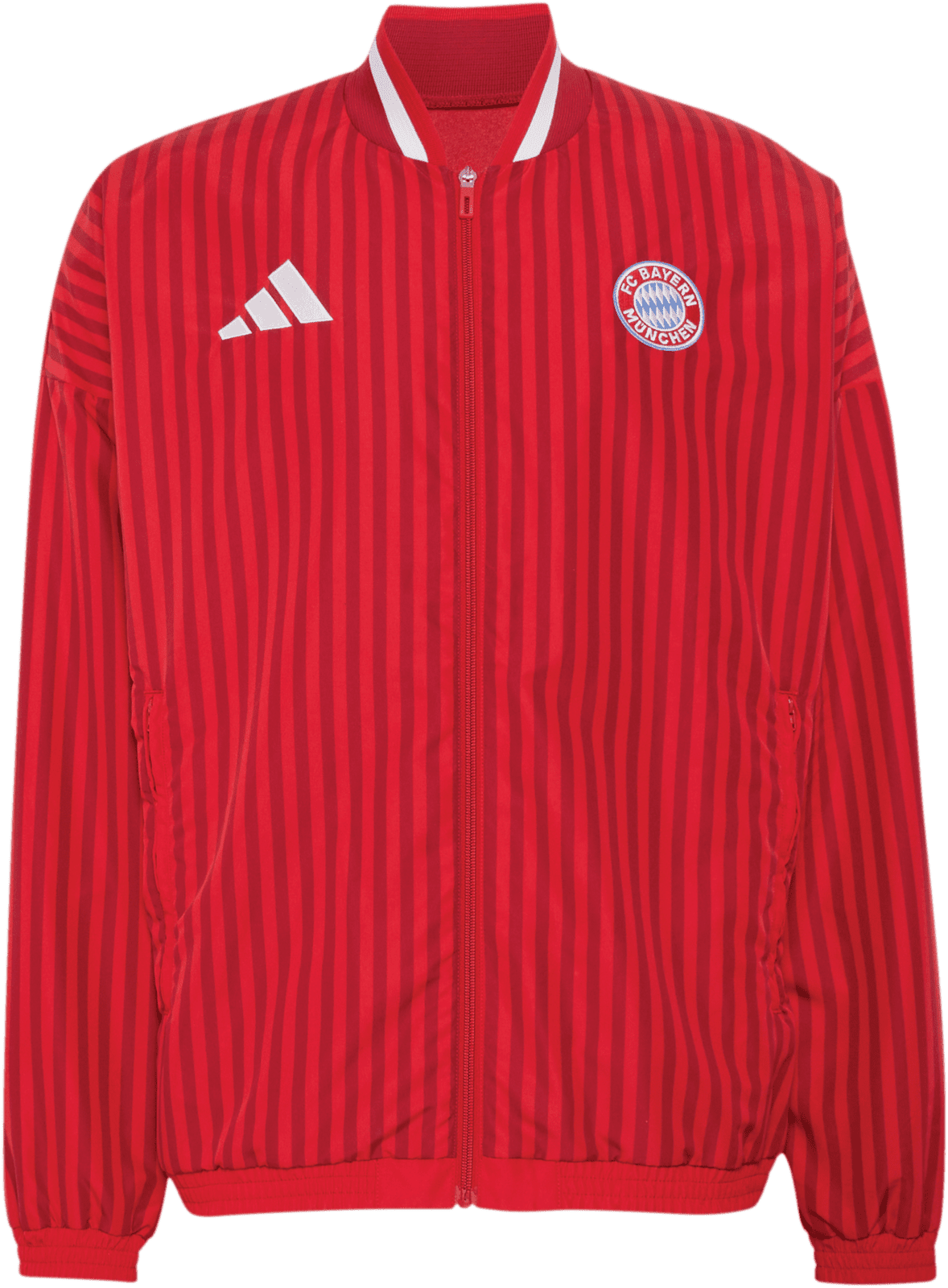 Bunda adidas FC Bayern Stadium