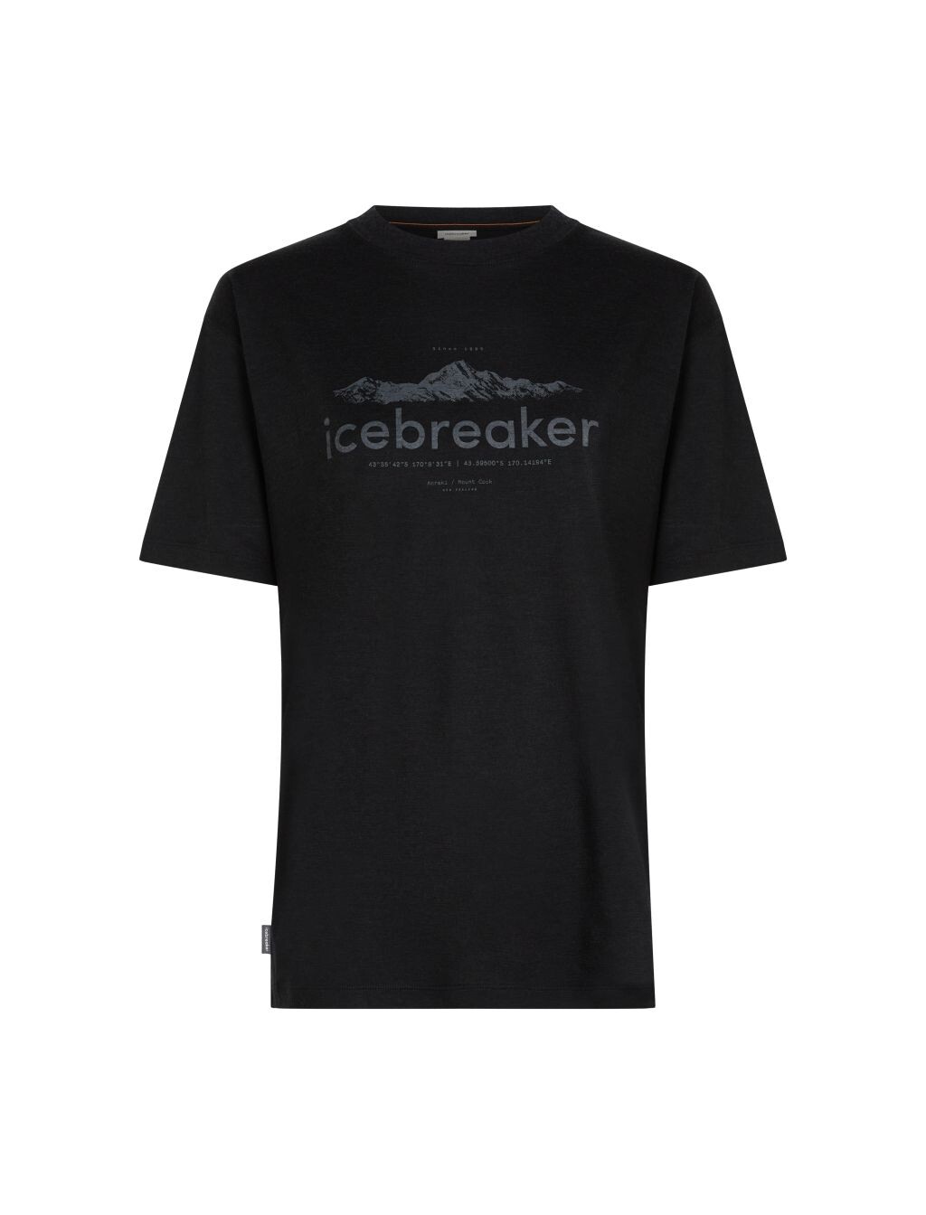 ICEBREAKER Wmns Merino 150 Tech Lite SS Rlxd Tee iceHer, Black (vzorek) velikost: S