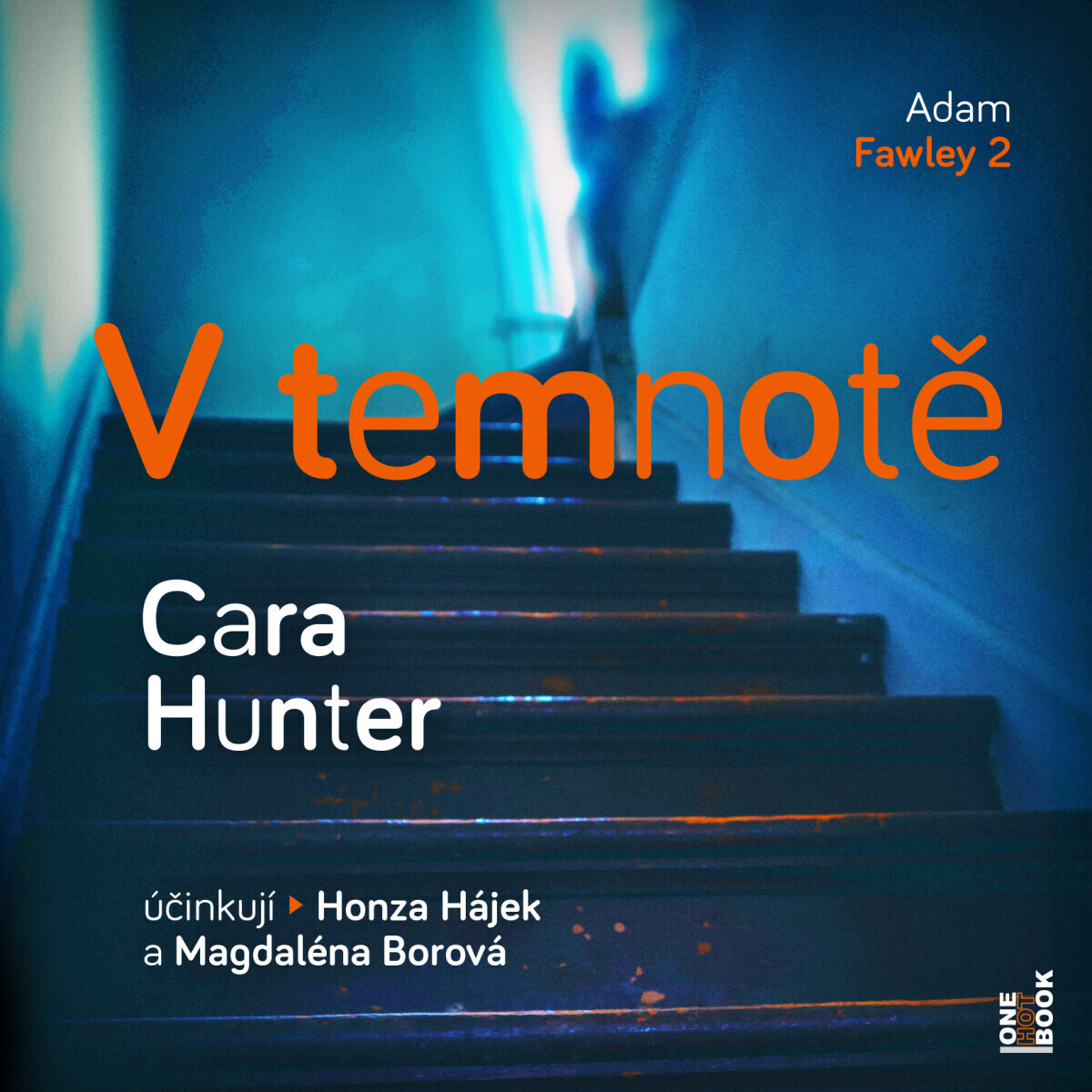 V temnotě - Cara Hunterová - audiokniha