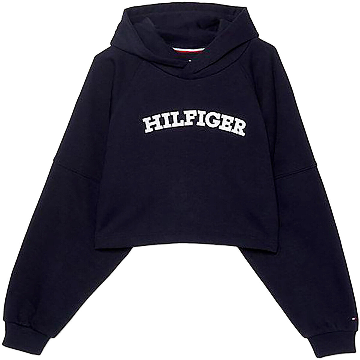 Tommy Hilfiger  Monotype Hoodie  Modrá