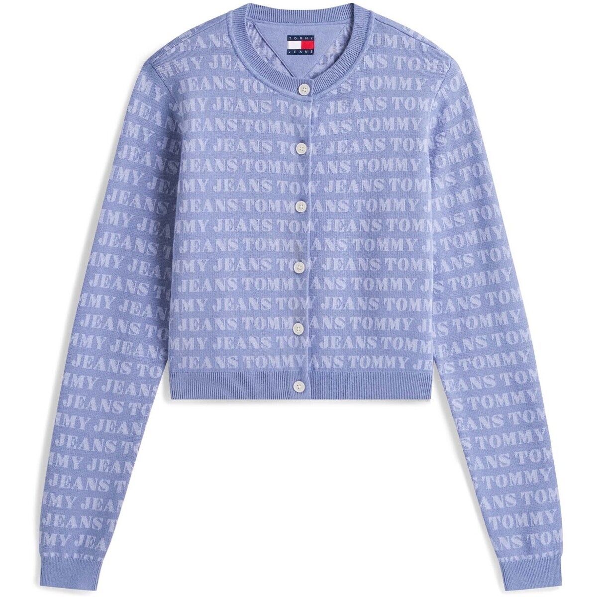 Tommy Jeans  Tjw Aop Crop Crew Ca  Modrá
