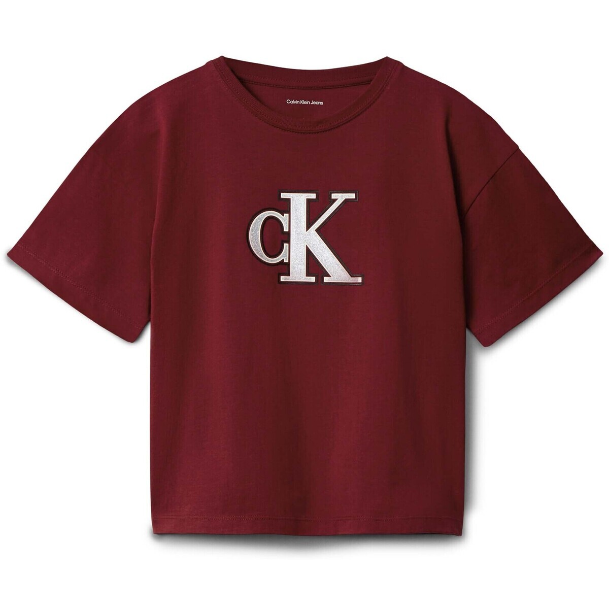 Calvin Klein Jeans  Festive Graphic Ss  Hnědá