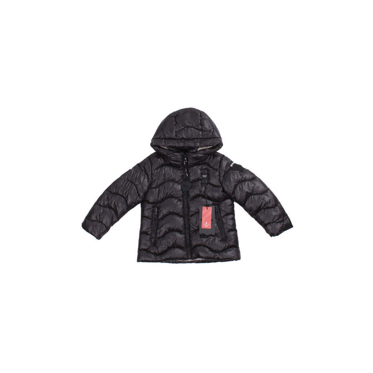 Blauer  10290764317011  Béžová