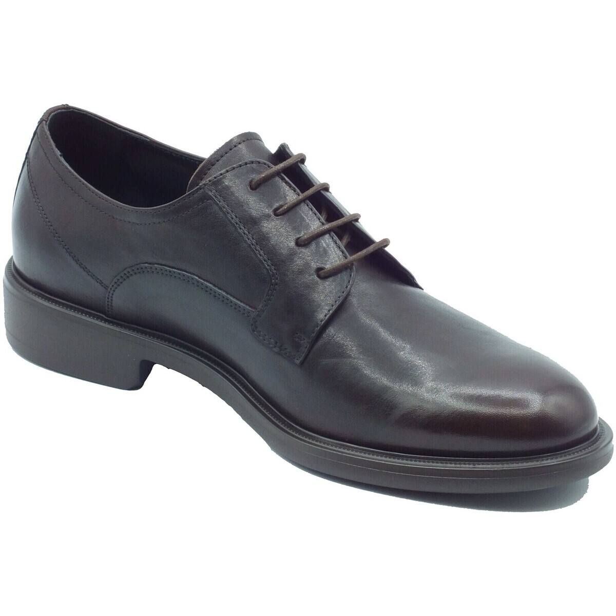 NeroGiardini  I601231UE Kronos Col.  Hnědá