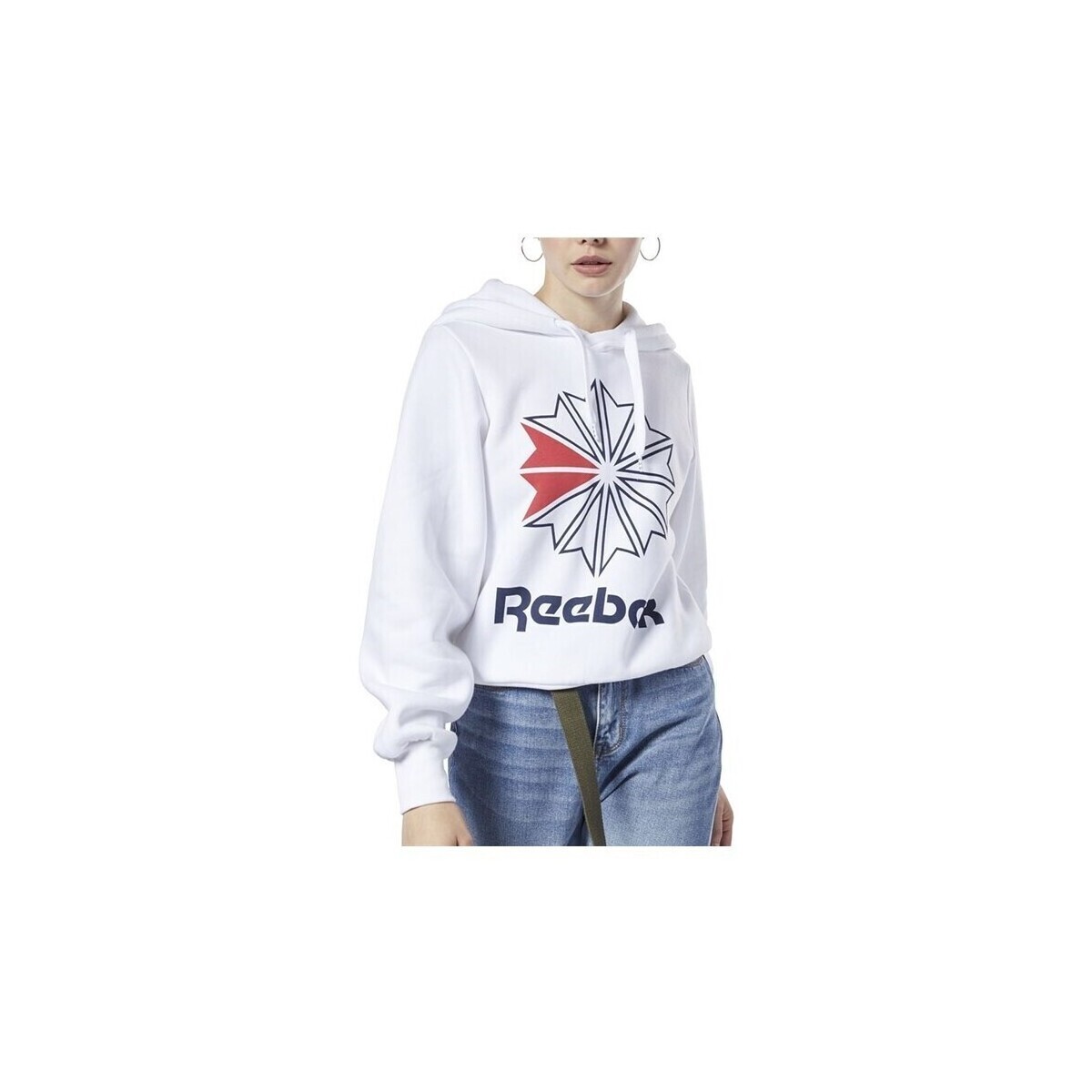 Reebok Sport  CL FL Big Logo Hoodie  ruznobarevne