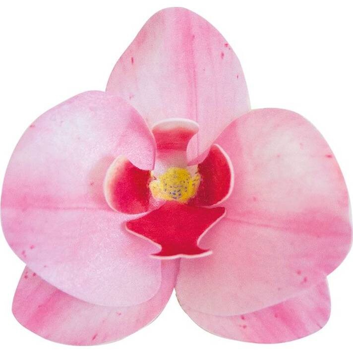 Jedlé orchideje růžové 10 ks 8,5–7,5 cm - Dekora
