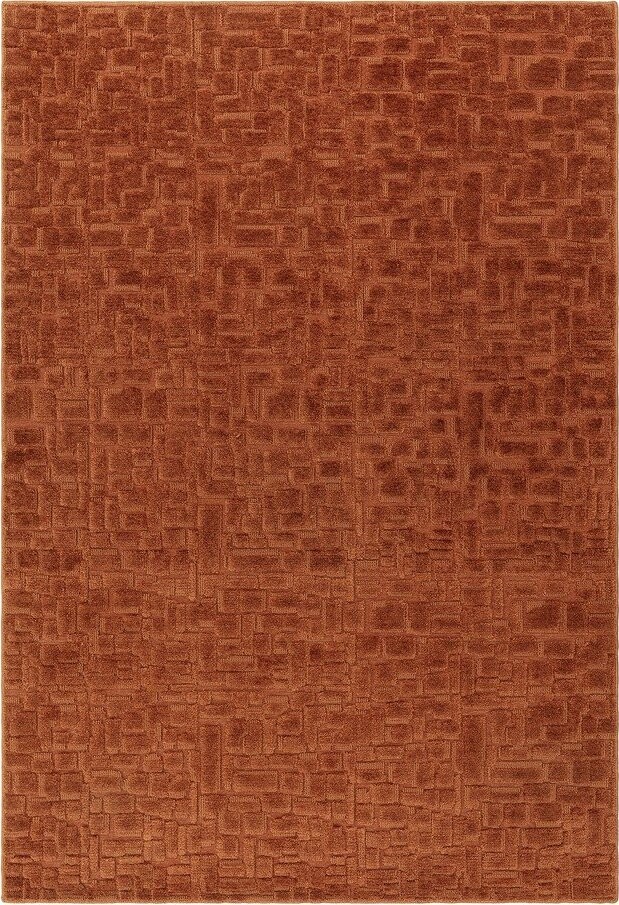 Koberec v terakotové barvě 200x290 cm – Asiatic Carpets