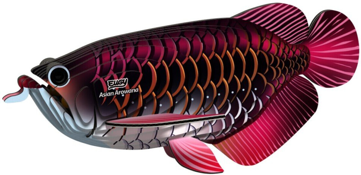 EUGY Arowana asijská 3D kartonová skládačka