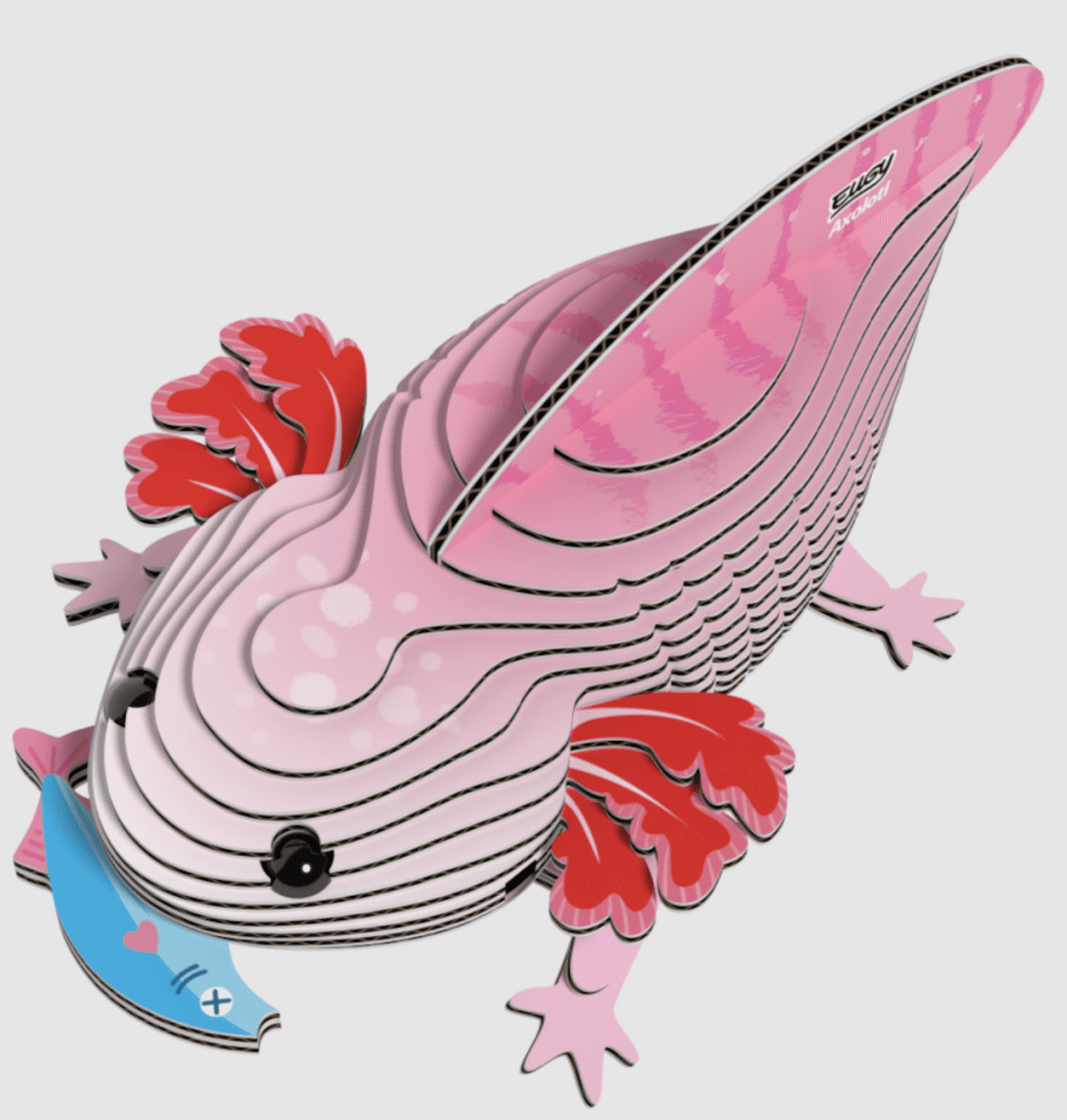 Axolotl 3D kartonová skládačka