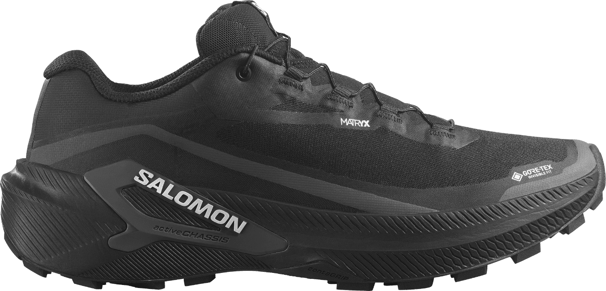 Trailové boty Salomon Genesis 2 Gore-Tex
