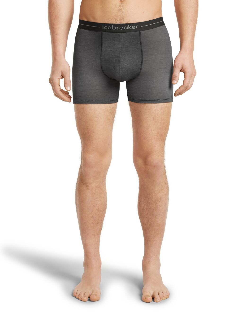 ICEBREAKER Mens Mer 150 Anatomica Boxers Transition, Obsidian/Prtgrey/Blck/Aop velikost: M